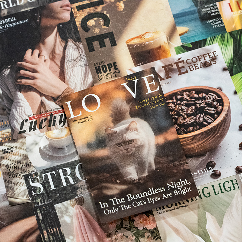 Mr.Paper 30 Pezzi/Busta Adesiv - Vintage Collectible Magazines recensione e prezzo